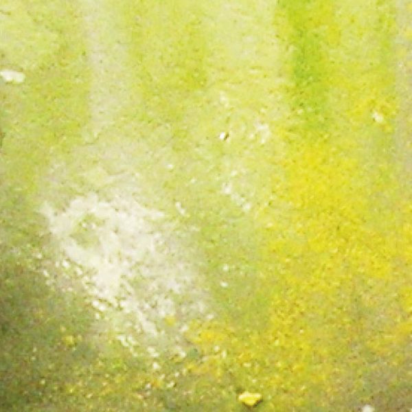 73.823 Slimy Grime Light