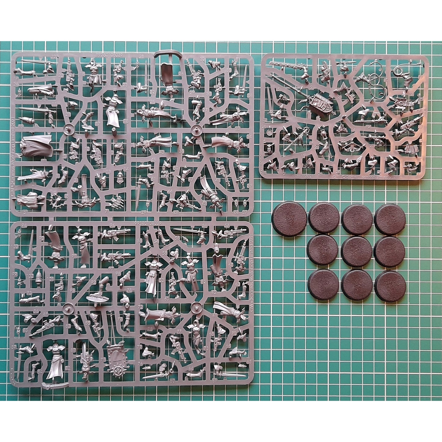 Novitiates (new on sprue)